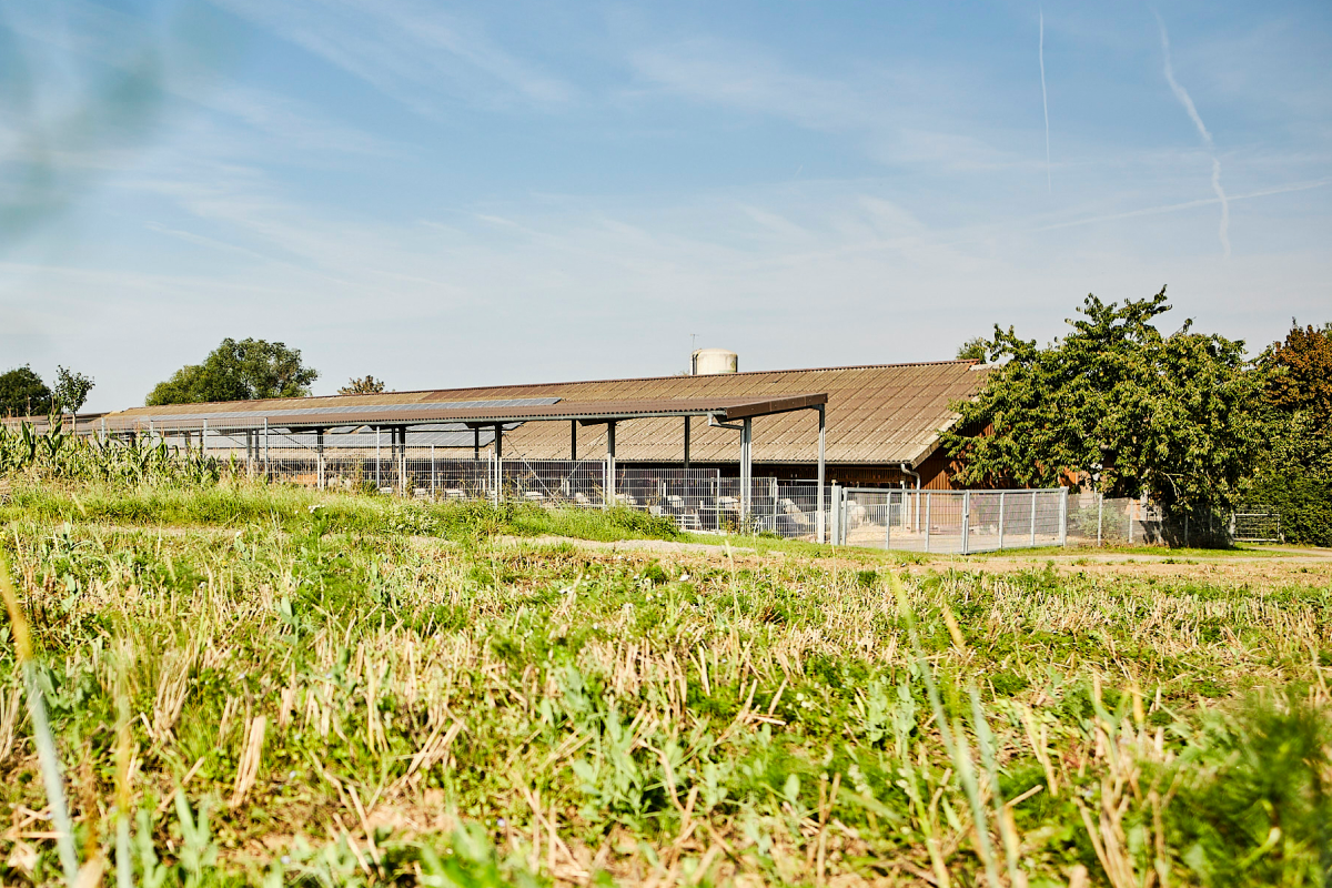 Naturland-Hof von Familie Fritz-Emmerich aus der Luft.