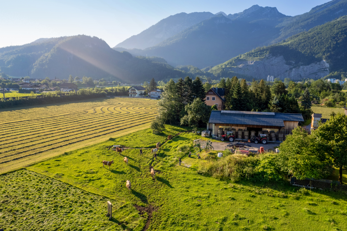 Der Hof Stieglerbauer der Familie Bernhofer