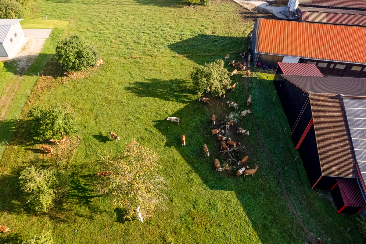 Der Hof Beim Beschorr der Familie Karch